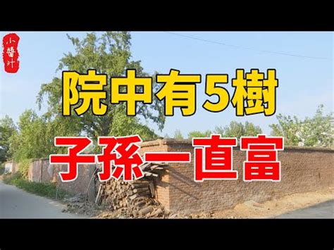 福木 風水|【福木樹風水】福木樹風水的秘密：為家居招來好運、。